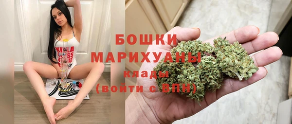 хмурый Няндома