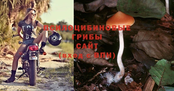 хмурый Няндома