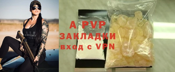 хмурый Няндома