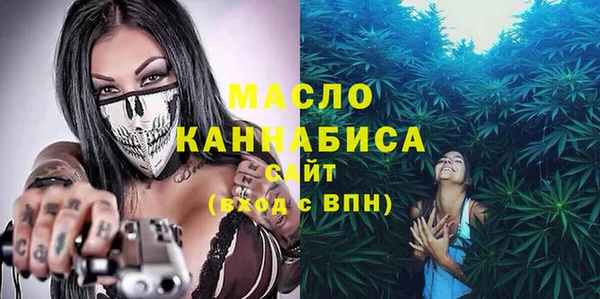 хмурый Няндома