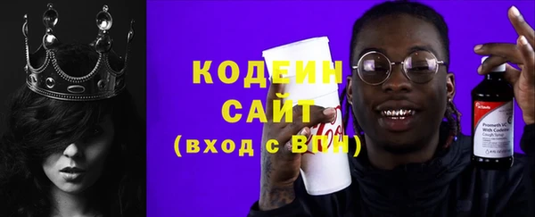 хмурый Няндома