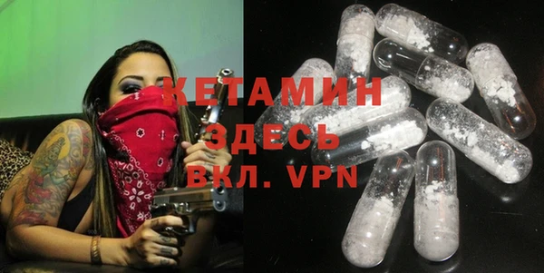 шишки Гусиноозёрск