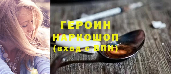 хмурый Няндома
