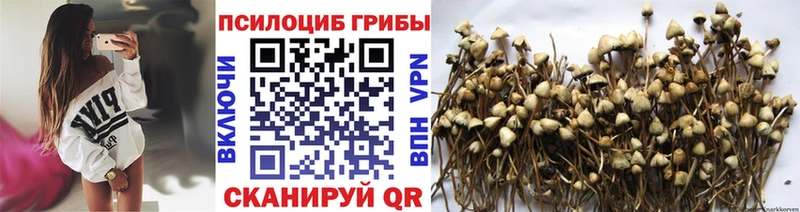мега ССЫЛКА  Светогорск  Галлюциногенные грибы Magic Shrooms  хочу наркоту 